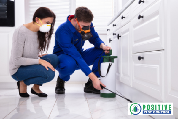 Effective Pest Solutions for Homes and Businesses in Calgary