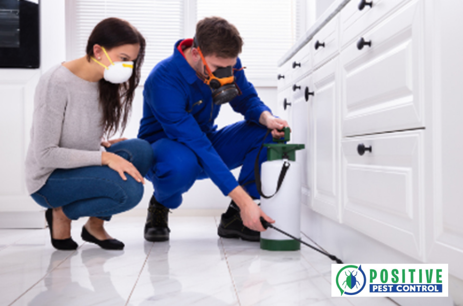 Effective Pest Solutions for Homes and Businesses in Calgary