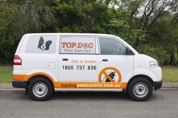 Protect Your Home with a Gold Coast Termite Shield