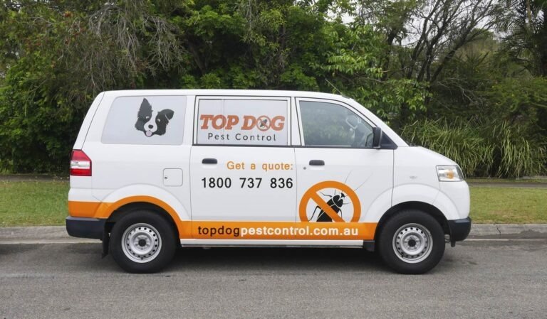 Protect Your Home with a Gold Coast Termite Shield