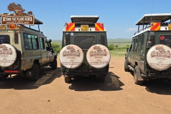 Ultimate Kenya Wildlife Safari Experiences for 2024
