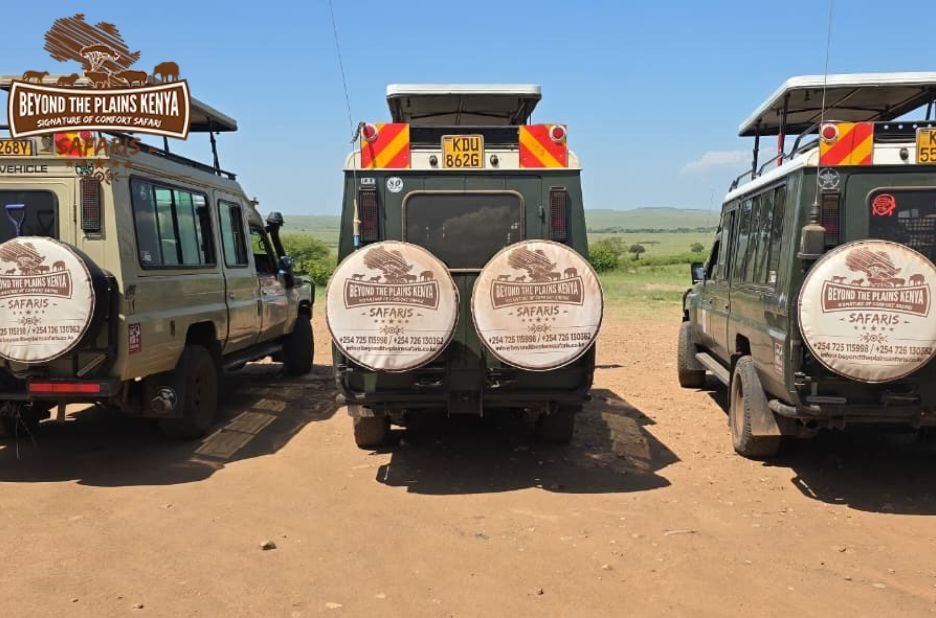 Ultimate Kenya Wildlife Safari Experiences for 2024