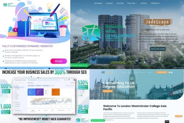 Launch Your Startup Online: Expert Web Solutions in Singapore