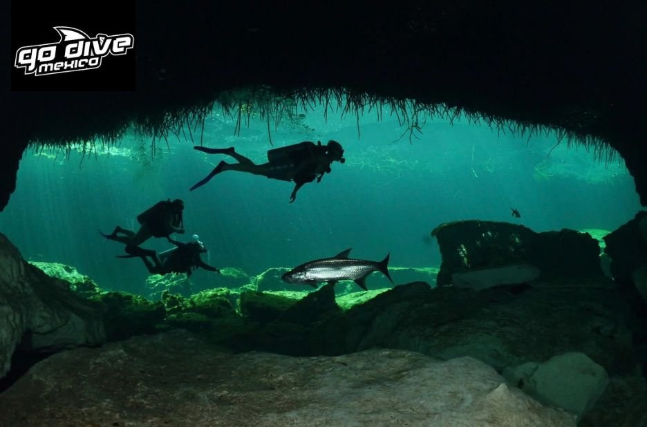 Explore The Hidden Wonders Beneath: Cenote Diving Adventures