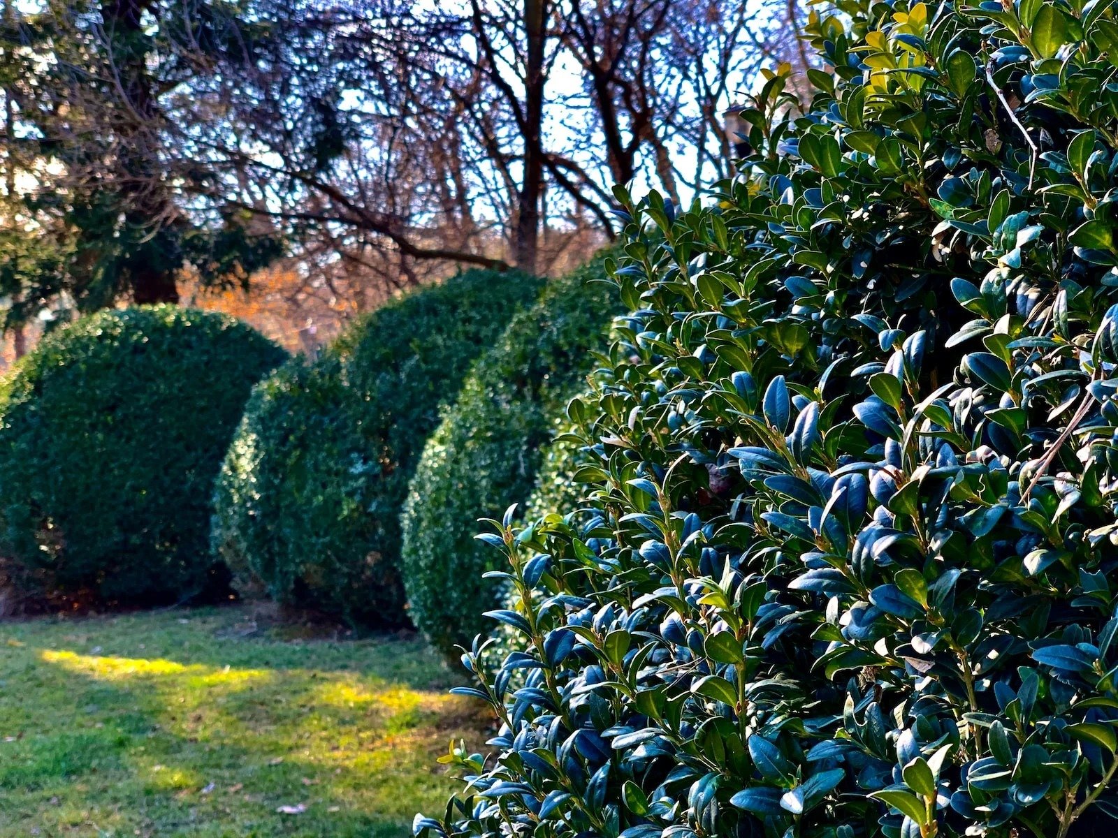 Find Trusted Local Garden Care You Can Rely On