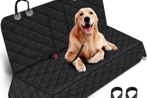 How to Meet U.S. Pet Entry Rules: A Practical Guide