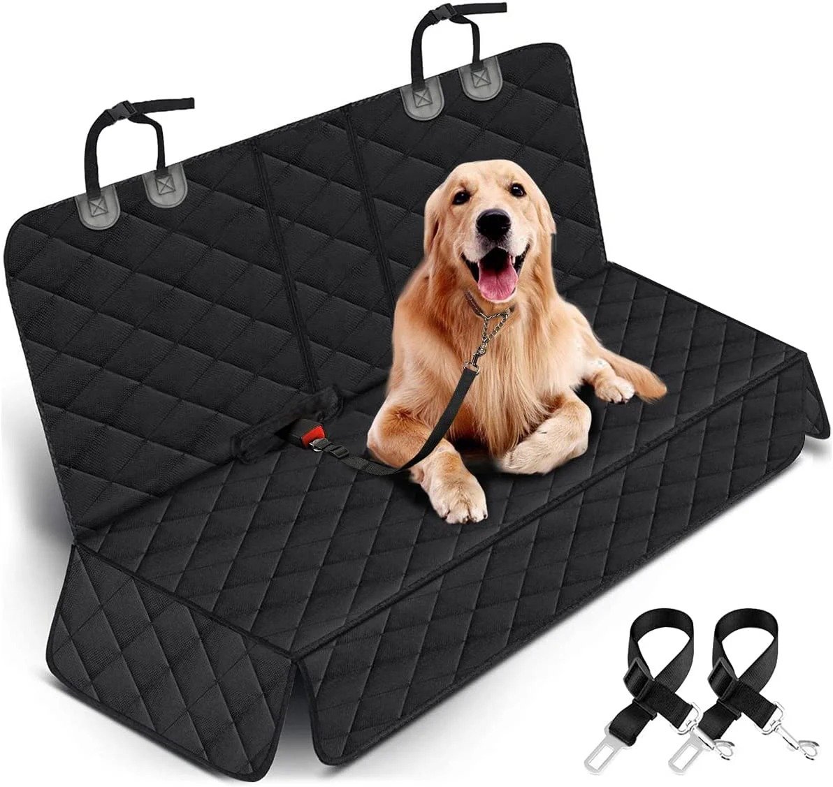 How to Meet U.S. Pet Entry Rules: A Practical Guide