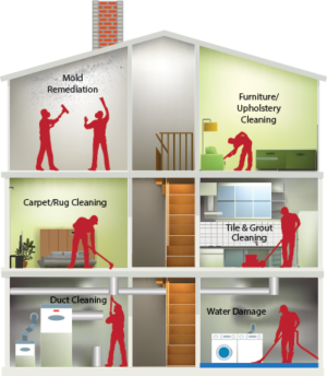 Belvidere Dryer Vent Cleaning: Safer, Faster Drying & Lower Bills