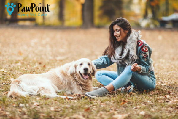 Compassionate In-Home Pet Euthanasia Services for Your Beloved Companion