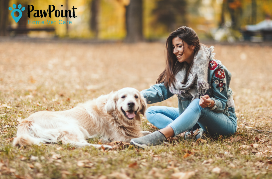 Compassionate In-Home Pet Euthanasia Services for Your Beloved Companion