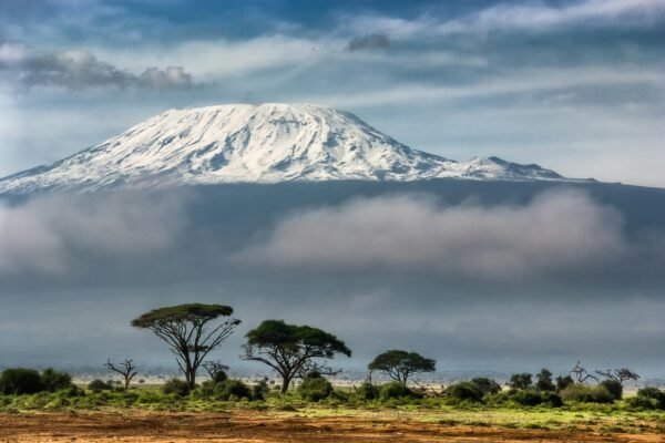 Climb Kilimanjaro and Beyond with Trusted Tanzanian Trek Specialists