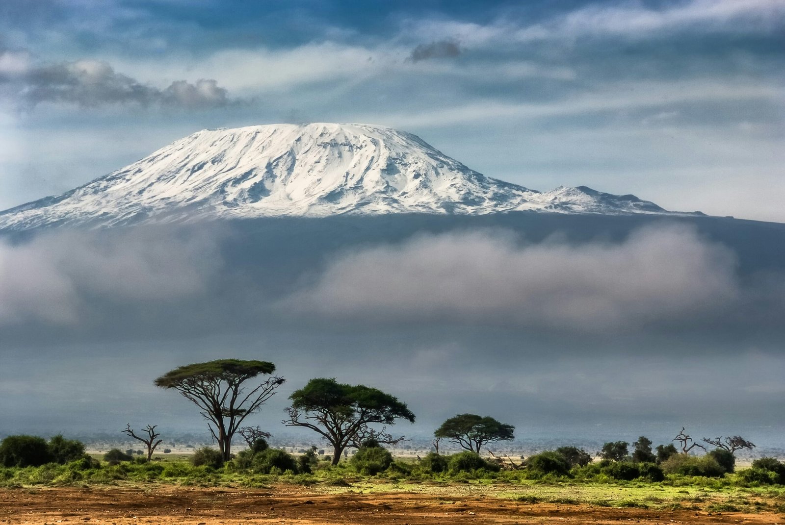 Climb Kilimanjaro and Beyond with Trusted Tanzanian Trek Specialists