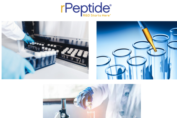 Unlocking the Power of Recombinant Protein in Modern Biotech