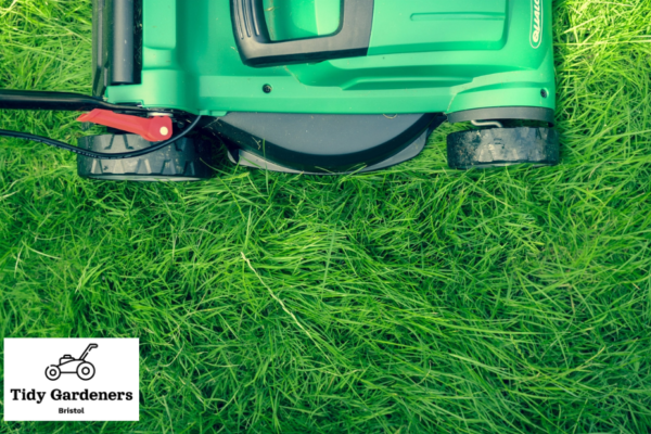 Lawn Shaping Services Bristol | Expert Turf Design