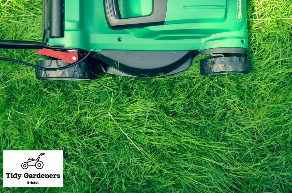 Lawn Shaping Services Bristol | Expert Turf Design