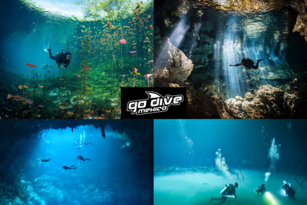 Explore Tulum’s Underwater Wonders: Scuba Experiences Await