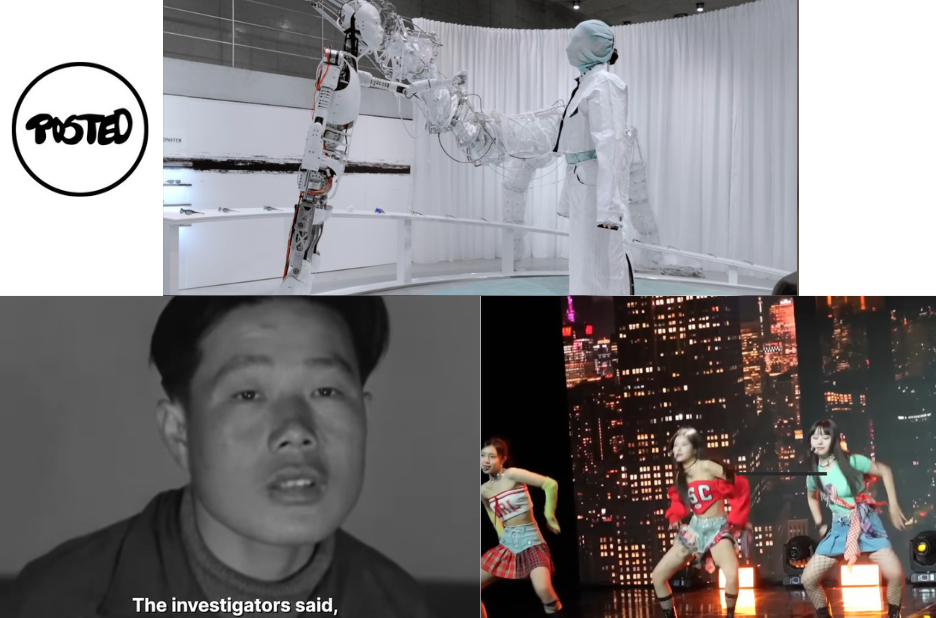 Captivating Visual Stories: Expert Film & Video Craft