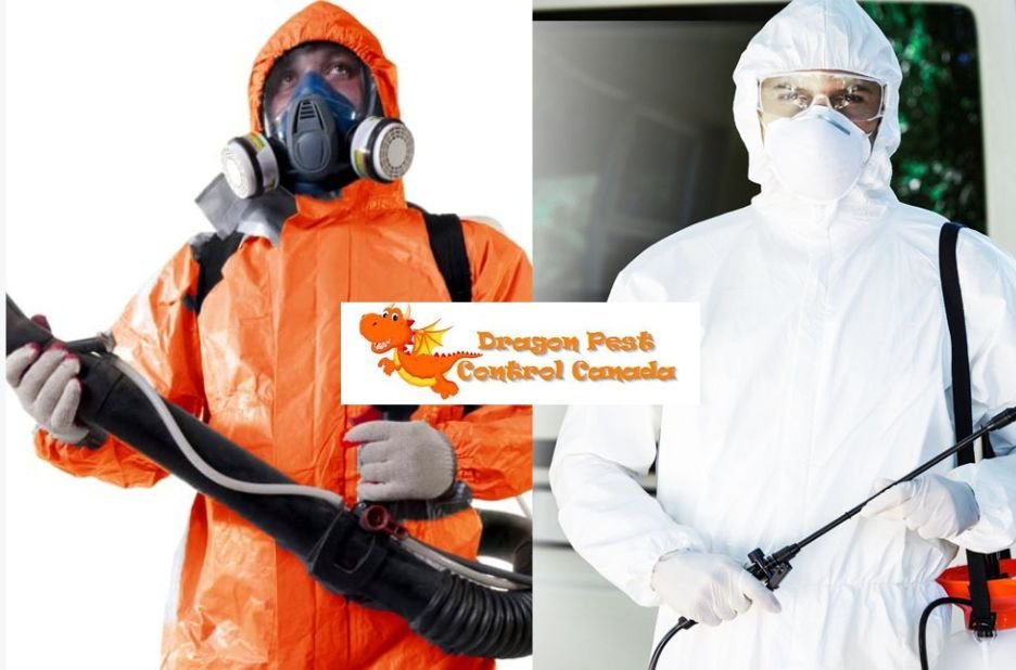 Reliable Home Pest Solutions in Edmonton Area
