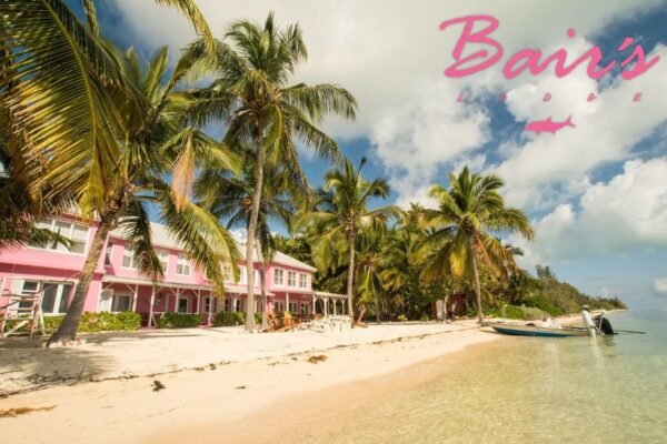Cast for Bonefish in the Bahamas: Expert Guides & pristine flats
