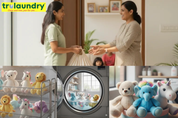 Effortless Laundry: Book Premium Dry Cleaning in Bangalore