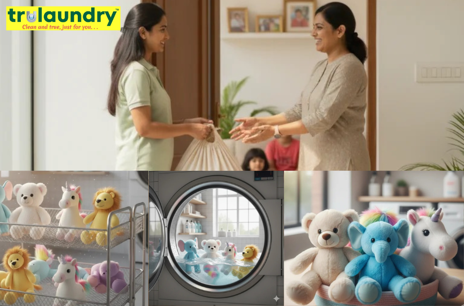 Effortless Laundry: Book Premium Dry Cleaning in Bangalore