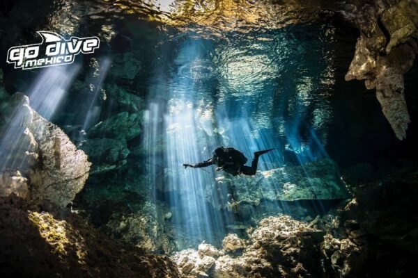 Discover Tulum’s Top Scuba Sights: Dive Guides and Tips