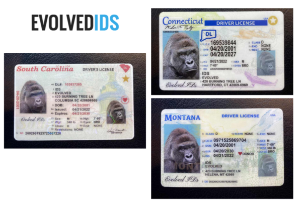 Websites To Buy Fake Ids | Evolvedids.com