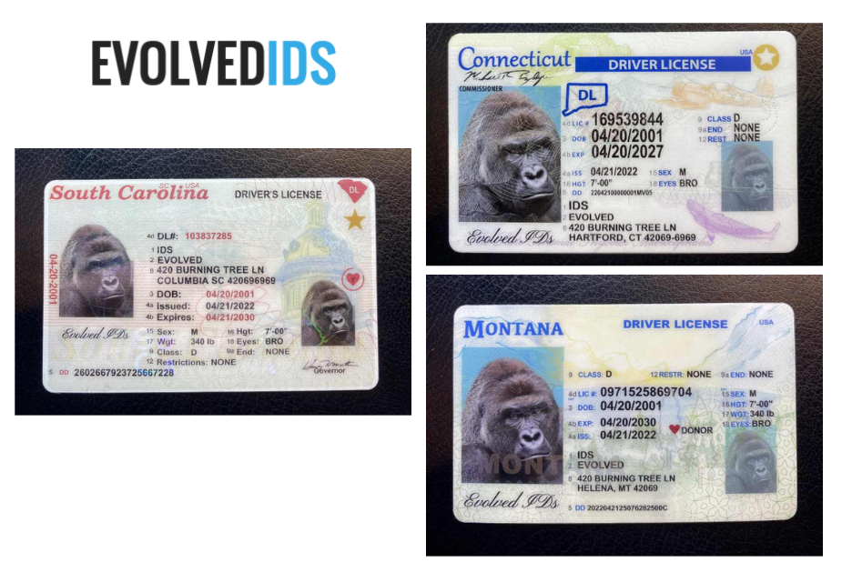 Websites To Buy Fake Ids | Evolvedids.com
