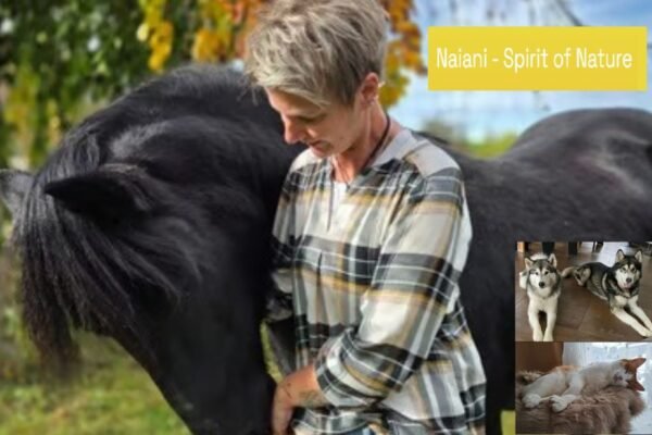 Tierische Signale verstehen: Intuition, Vertrauen und Harmonie im Alltag