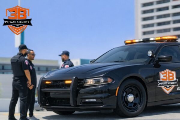 Professional Security Solutions for LA Facilities