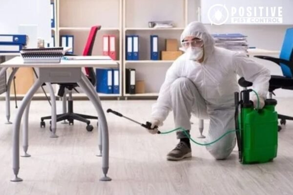 Effective Pest Management in Calgary for Homes and Businesses