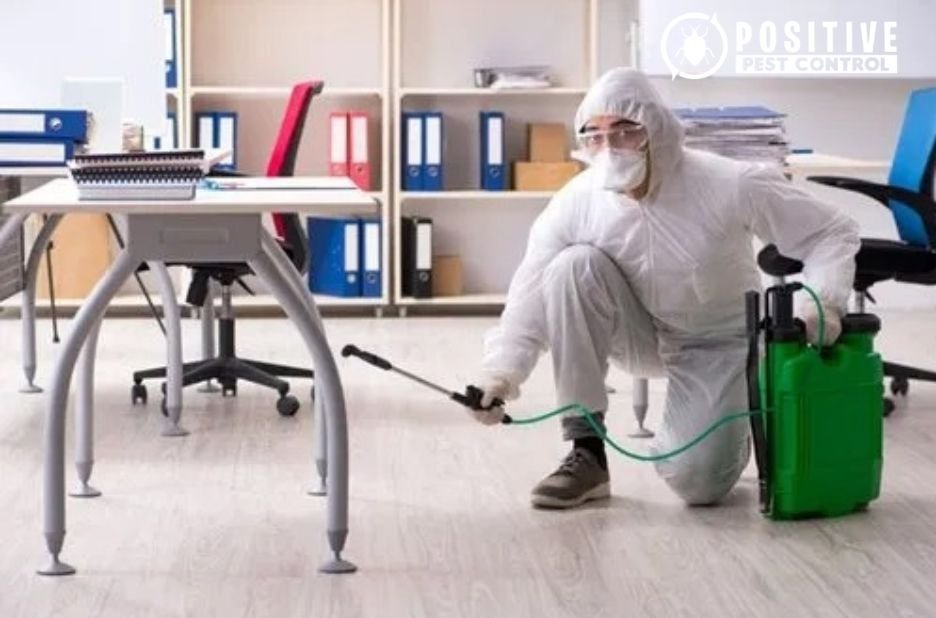 Effective Pest Management in Calgary for Homes and Businesses