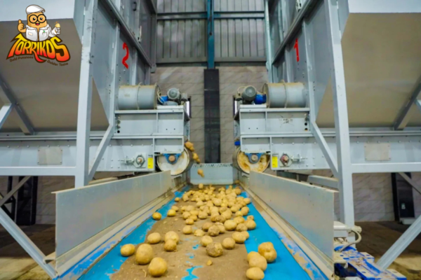 Enhance Potato Processing with Minimal Leach Flakes for Consistent Texture