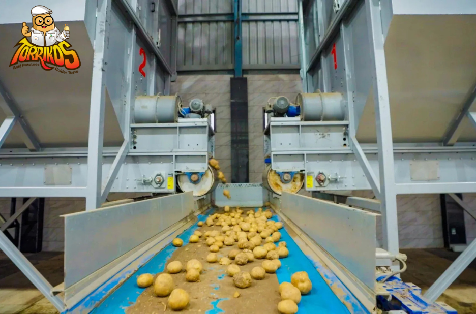 Enhance Potato Processing with Minimal Leach Flakes for Consistent Texture