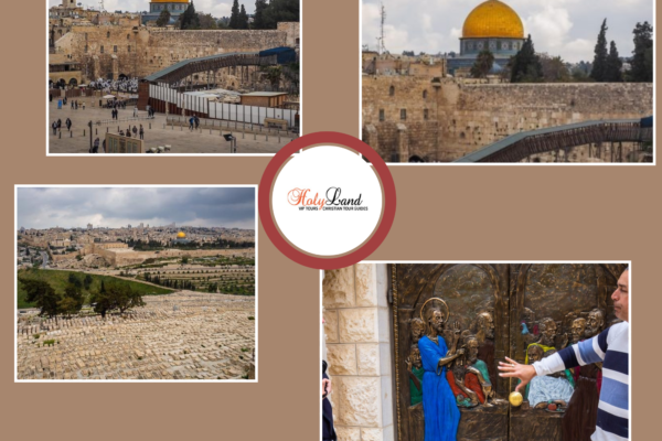 A Quiet Pilgrimage: Exploring Jerusalem’s Sacred Olive Grove