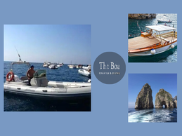 Private Amalfi Coast Day Trip: Capri, Positano & Hidden Coves