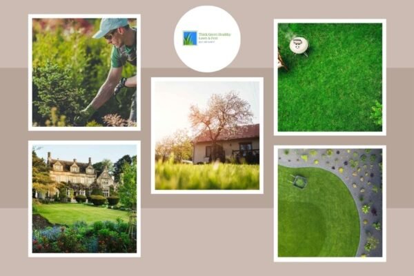 Trusted Lawn Care Professionals in San Antonio for Healthier, Greener Yards