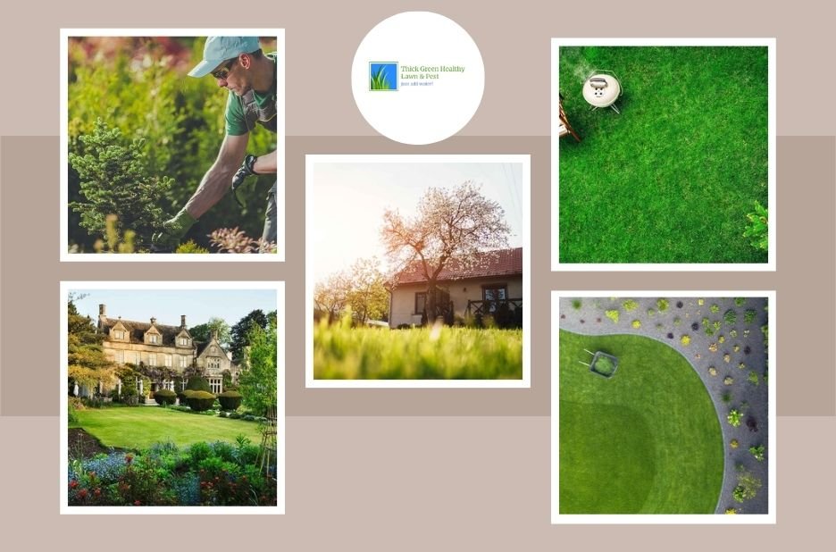 Trusted Lawn Care Professionals in San Antonio for Healthier, Greener Yards