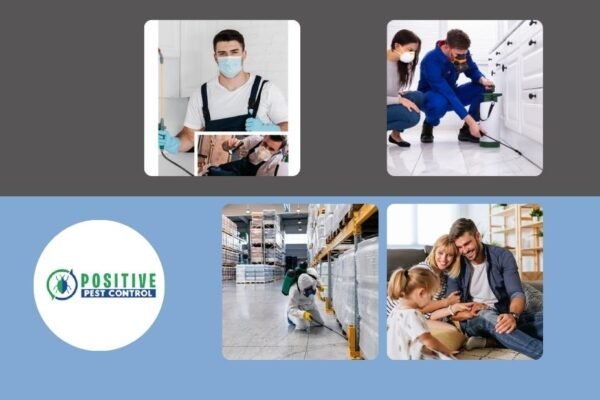 Calgary Pest Control Experts | Affordable, Safe, and Effective Extermination Services