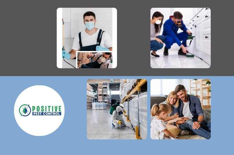 Calgary Pest Control Experts | Affordable, Safe, and Effective Extermination Services