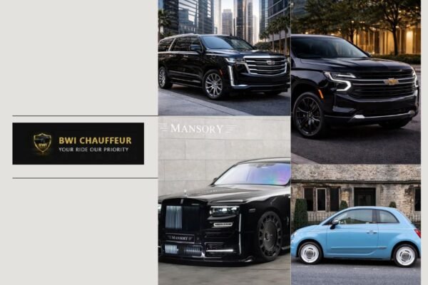 Premium Hourly Chauffeur Service for Business and Leisure | Bwichauffeur.com