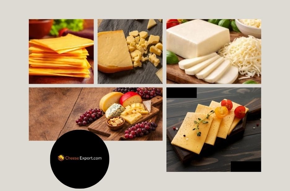 Top Bulk Mozzarella Cheese Supplier for Wholesale and Export Markets