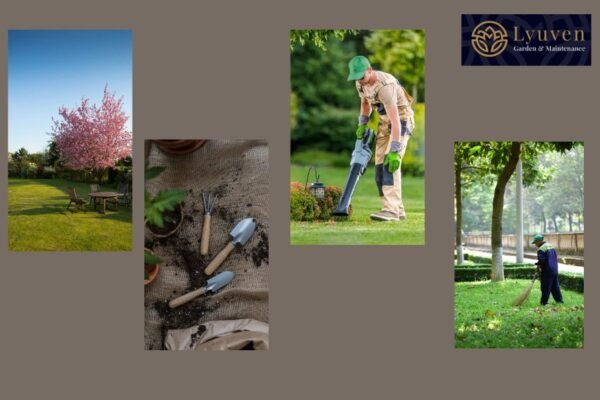 Professional Hedge Care: Trim, Prune and Shape in Morden