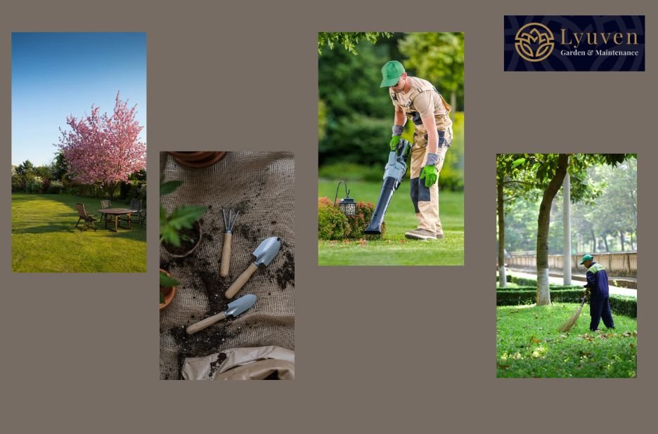 Professional Hedge Care: Trim, Prune and Shape in Morden