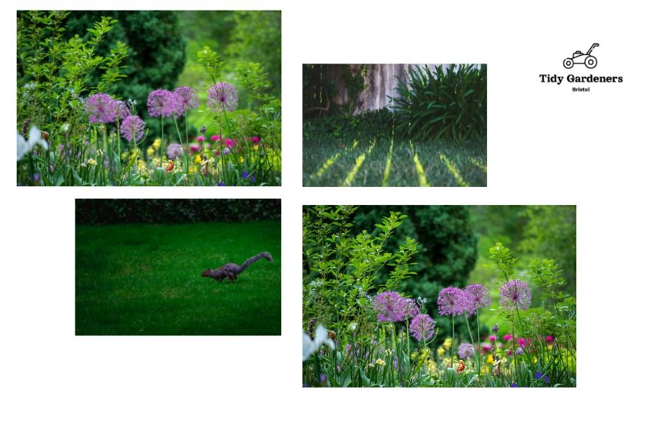 Bristol Garden Care Experts for a Lush Outdoor Space