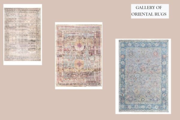 Expert Oriental Rug Care in Wilmington — Gentle, Trusted Cleaning