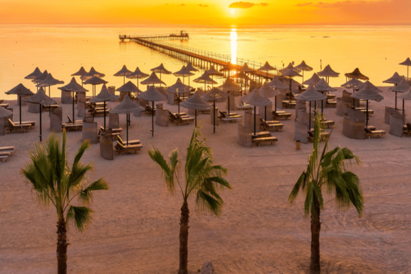 Activities in Marsa Alam: Discover Egypt’s Hidden Red Sea Paradise