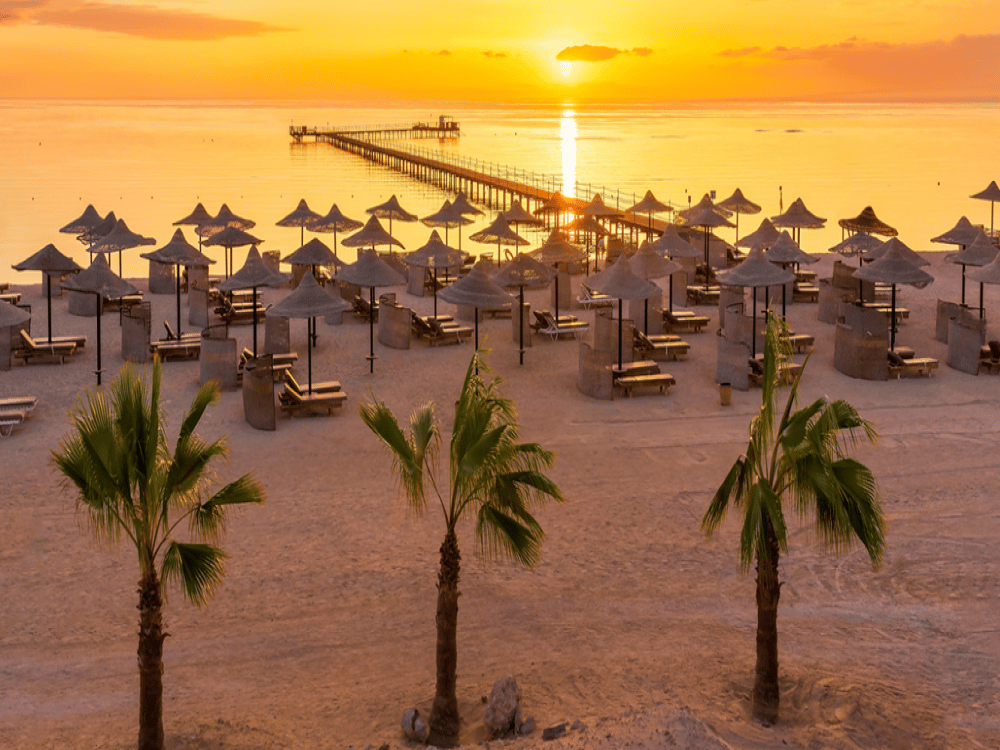 Activities in Marsa Alam: Discover Egypt’s Hidden Red Sea Paradise