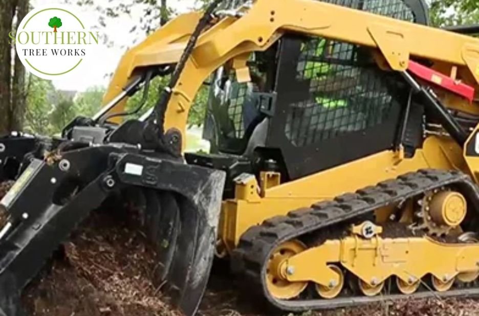 Trustworthy Tree Services Near Dothan, AL – Safe Removals & Maintenance