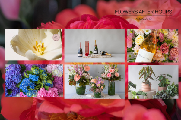 Top Florist Auckland – Fresh Flowers & Unique Gifts Delivered Daily